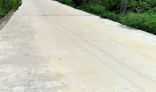 ବଡ଼ଚଣା ବ୍ଲକ୍‌ ଦୁର୍ନୀତି: ଜିପିଇଓ ଠିକାଦାର, ବିଡିଓ ସାମଗ୍ରୀ ଯୋଗାଣକାରୀ