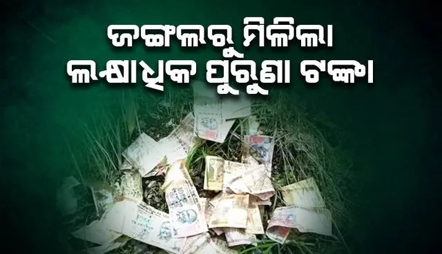 କୁକୁରକୁ ଖୋଜିବା ପାଇଁ ଯାଇଥିବା ବେଳେ ଖାଇରୁ ଲକ୍ଷାଧିକ ଟଙ୍କାର ପୁରୁଣା ୧୦୦୦-୫୦୦ଟଙ୍କିଆ ନୋଟ ପାଇଲେ ଗ୍ରାମବାସୀ