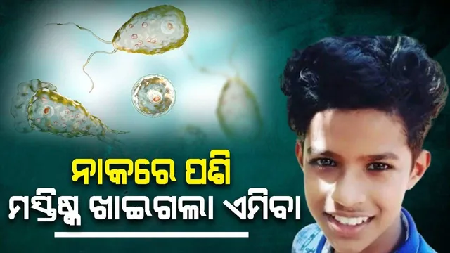 ଦୂଷିତ ପାଣିରେ ଗାଧୋଇବା ପଡ଼ିଲା ମହଙ୍ଗା, ନାବାଳକର ନାକରେ ପଶି ମସ୍ତିଷ୍କ ଖାଇଗଲା ଏମିବା