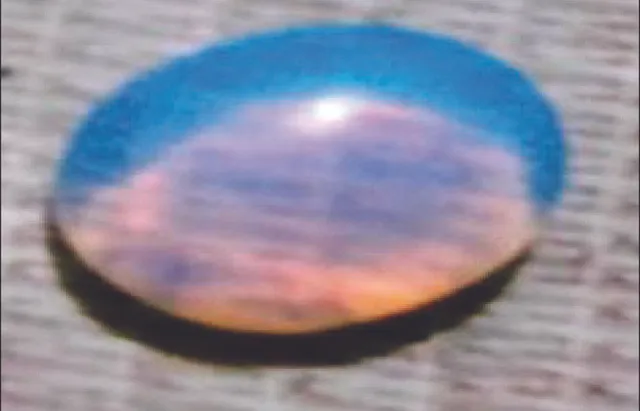 ବନ୍ଦ ହେଉନି ନକଲି ମୋତି କାରବାର: ଚିଲିକାରେ ଠକଙ୍କ କବଳରେ ପର୍ଯ୍ୟଟକ, ବେପାରୀଙ୍କ ଉପରେ ଲଗାମ ନାହିଁ