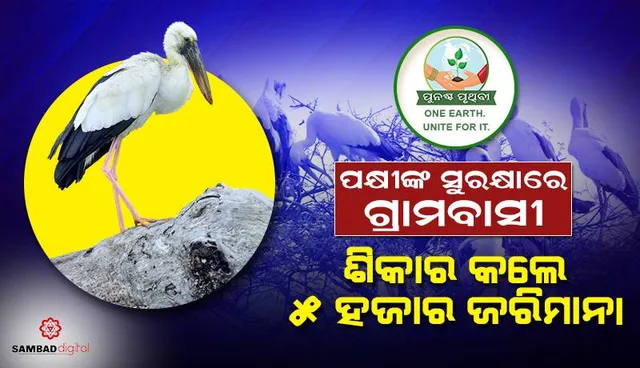 ପକ୍ଷୀଙ୍କ ସୁରକ୍ଷାରେ ଗ୍ରାମବାସୀ: ଗେଣ୍ଡାଳିଆ ଶିକାର କଲେ ୫ ହଜାର ଜରିମାନା