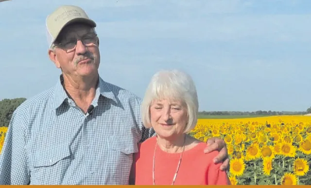 ପତ୍ନୀଙ୍କୁ ସୂର୍ଯ୍ୟମୁଖୀ କ୍ଷେତ ଉପହାର