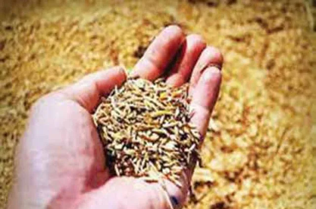 ଧାନ କିଣା ପାଇଁ ୫୦% ଚାଷୀଙ୍କ ପଞ୍ଜୀକରଣ: ହାତରେ ଆଉ ଗୋଟିଏ ଦିନ