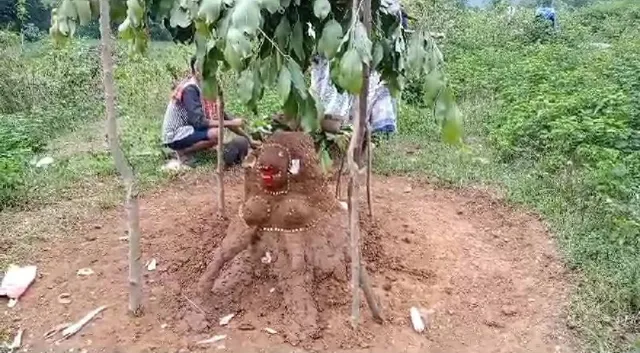 ସୁଖଶାନ୍ତି ଓ ଚାଷ ଭଲ ନେଇ ଆଦିବାସୀଙ୍କ ‘ମୁଣ୍ଡା ପୂଜ‘ ପାଳିତ