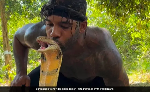 ଅହିରାଜ ମଥାରେ ଚୁମ୍ବନ ଦେଇ ଭିଡିଓ ସେୟାର୍‌ କଲେ ଯୁବକ, ଏଭଳି ପ୍ରତିକ୍ରିୟା ଦେଲେ ସୋସିଆଲ୍‌ ମିଡିଆ ବ୍ୟବହାରକାରୀ