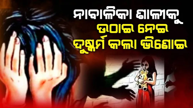 ପଡ଼ୋଶୀ ଘରୁ ଟିଭି ଦେଖି ଫେରୁଥିଲା ନାବାଳିକା ଶାଳୀ, ବଳପୂର୍ବକ ଉଠାଇ ନେଇ ଦୁଷ୍କର୍ମ କଲା ଭିଣୋଇ!