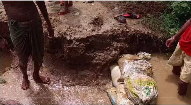 କାଣୀନଦୀରେ ନିଶ୍ଚିତ ଘାଇକୁ ନିୟନ୍ତ୍ରଣ କଲେ ଗ୍ରାମବାସୀ