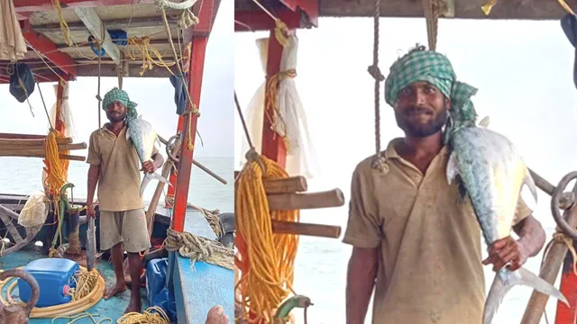 ଧାମରା ମାଛଧରା ବନ୍ଦର ନିକଟରେ ବୋଟରୁ ଖସି ଧୀବର ନିଖୋଜ