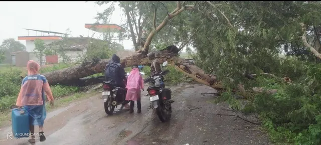 ନୂଆପଡ଼ା: ଗଛ ପଡ଼ି ନୂଆପଡ଼ା-ସାରାବନ୍ଧ ରାସ୍ତା ବନ୍ଦ