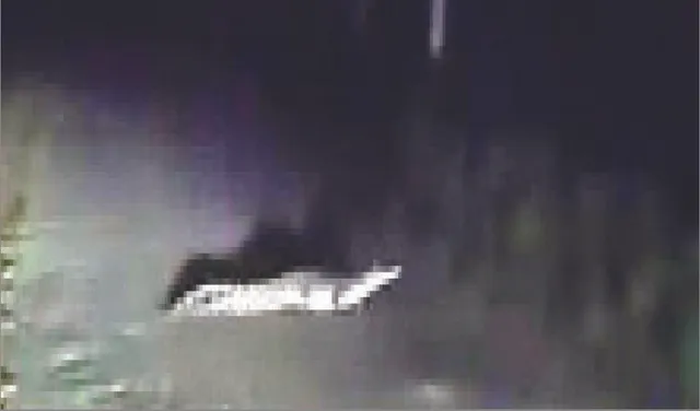 ରାସ୍ତାରେ କୁମ୍ଭୀର, ପେଣ୍ଠରେ ଆତଙ୍କ