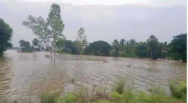 ବନ୍ୟା ବିତ୍ପାତ: ନିରାକାରପୁରରେ ୮ଶହ ହେକ୍ଟର ଚାଷଜମି ଜଳମଗ୍ନ, ଗାଁରେ ପଶିଲା ପାଣି