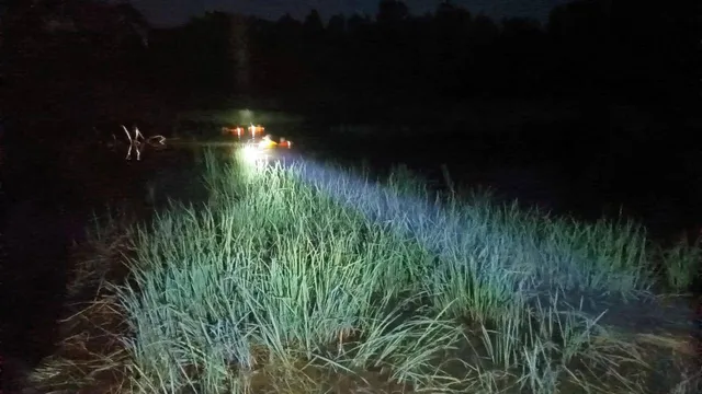 ପୋଖରୀରେ ଗାଧୋଇବାକୁ ଯାଇ ବୃଦ୍ଧା ନିଖୋଜ