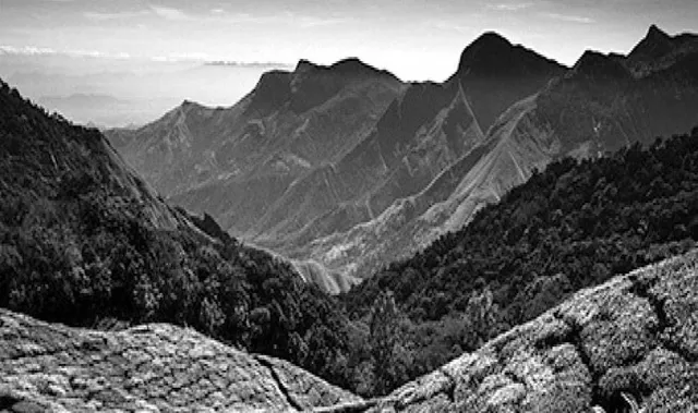 ସାଂପ୍ରତିକୀ: ପୃଥିବୀ ଓ ପ୍ରକୃତି ସଂରକ୍ଷଣରେ ସ୍ଥାନୀୟ ଉଦ୍ୟମ