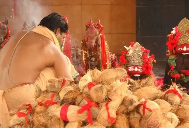 ଫିଟୁଛି ମା ତାରିଣୀଙ୍କ ନଡ଼ିଆ ନଷ୍ଟ ଗୁମର: ଟେଣ୍ତର ନିୟମର ହୋଇଥିଲା ଖୋଲା ଉଲ୍ଲଂଘନ