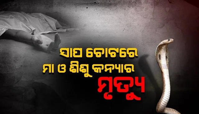 ସର୍ପଦଂଶନ ନେଲା ଦୁଇ ଜୀବନ: ସାପ ଚୋଟରେ ମା ଓ ୨ ବର୍ଷର ଶିଶୁ କନ୍ୟା ମୃତ
