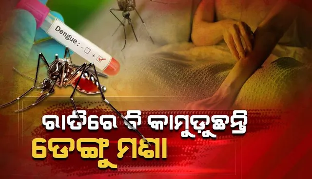 ଡେଙ୍ଗୁ ମଶାର ଚରିତ୍ର ବଦଳିଲା ରାତିରେ ବି କାମୁଡ଼ୁଛନ୍ତି: ଡେଙ୍ଗୁ ବଢ଼ିବା ପଛରେ ଏଡିସ୍‌ ଆଲ୍‌ବୋପିକ୍ଟସ୍ ମଶା