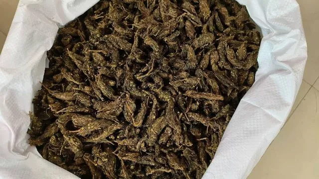 ବିଜେଡି ଗାଡ଼ିରେ ୮୪କେଜି ଗଞ୍ଜେଇ କୁଆଡ଼ୁ ଆସିଲା?: ବିଜେପି