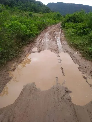 ପାଲସିନିମା ଗାଁକୁ ଆଜି ବି ନାହିଁ ପକ୍କା ରାସ୍ତା, ଘରଡିହ ପଟ୍ଟା ନଥିବାରୁ ସରକାରୀ ଯୋଜନାରୁ ବଞ୍ଚିତ ଗ୍ରାମବାସୀ