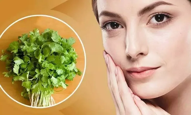 କେବଳ ଖାଦ୍ୟର ସ୍ବାଦ ବଢ଼ାଇବା ପାଇଁ ନୁହେଁ; ଚେହେରାର ଚମକ ପାଇଁ ବି ଜରୁରୀ ଧନିଆପତ୍ର