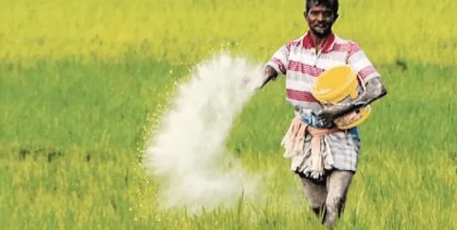 ବନ୍ୟାରେ ନଦୀବନ୍ଧରେ ଘାଇ: ନଷ୍ଟ କରୁଛି ଚାଷ ଜମି