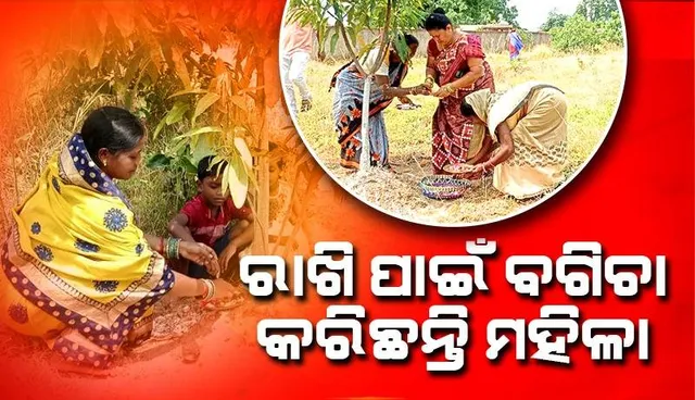 ଝୁରିମାଲର ନିଆରା କାହାଣୀ: ରାଖି ପାଇଁ ମହିଳା ସୃଷ୍ଟି କରିଛନ୍ତି ଦେଢ଼ ଏକରର ବଗିଚା