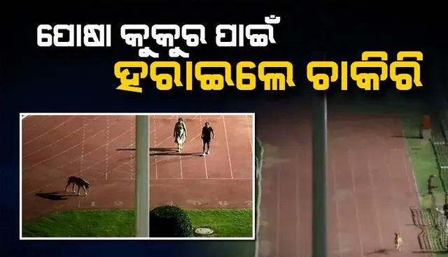 ପୋଷା କୁକୁରକୁ ବୁଲାଇବା ପାଇଁ ଷ୍ଟାଡିୟମ ଖାଲି କରୁଥିଲେ ଆଇଏଏସ୍, ବାଧ୍ୟତାମୂଳକ ଅବସର ଦେଲେ କେନ୍ଦ୍ର ସରକାର