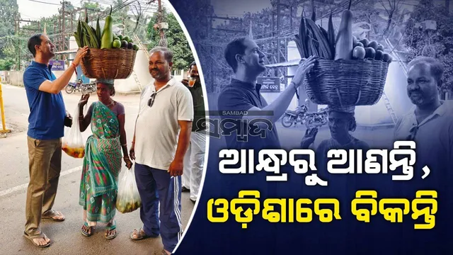 ସ୍ବାଭିମାନୀ ଗୌରମା: ପରିବା ବିକ୍ରି ପାଇଁ ଆନ୍ଧ୍ରରୁ ରାୟଗଡ଼ା ଆସନ୍ତି
