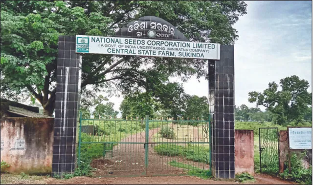 ସର୍ବବୃହତ୍‌ ବିହନ ଫାର୍ମ ଏବେ ଘାସ ପଡ଼ିଆ: ଖତ ଖାଉଛି ଯନ୍ତ୍ରାଂଶ, ଚରୁଛନ୍ତି ଗୋରୁ