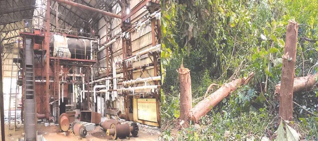 ଚୋରଙ୍କ ଆଡ଼ାସ୍ଥଳୀ ପାଲଟିଲାଣି ଚିନିକଳ: ଯନ୍ତ୍ରାଂଶ ସମେତ ମୂଲ୍ୟବାନ ଗଛ କଟାଚାଲିଛି