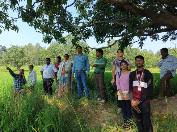 ଦୁଇଶହ ହେକ୍ଟର ଜମିରେ ଚକଡ଼ା ଚରିଗଲେ