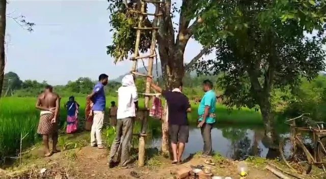 ହାତୀ ଘଉଡ଼ାଇବାକୁ ଯାଇ ପ୍ରାଣ ହରାଇଲେ ଚାଷୀ