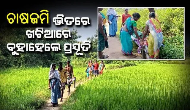 ଗାଁକୁ ନାହିଁ ରାସ୍ତା: ନାଳ ପାରି ହୋଇ ଖଟିଆରେ ବୁହାହେଲେ ପ୍ରସୂତି, ଆମ୍ବୁଲାନ୍ସ ପହଞ୍ଚିବା ପୂର୍ବରୁ ଜନ୍ମଦେଲେ ଶିଶୁକନ୍ୟା