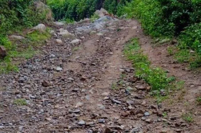 ରାୟଗଡ଼ାର ସୀମାନ୍ତ ଗ୍ରାମକୁ ନାହିଁ ପକ୍କା ରାସ୍ତା; ଆନ୍ଧ୍ରପ୍ରଦେଶ ଦେଇ ୨୫ କିମି ସଦର ପଞ୍ଚାୟତକୁ ଆସୁଛନ୍ତି ଲୋକେ