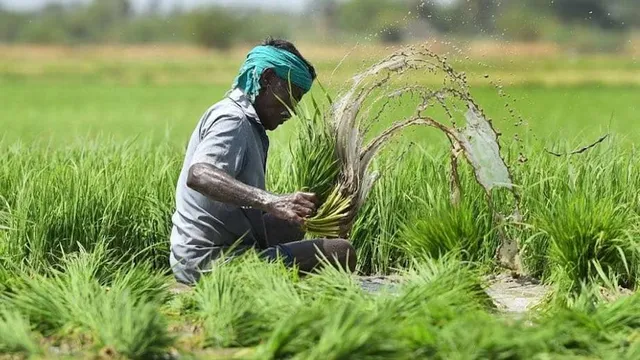 ପ୍ରଧାନମନ୍ତ୍ରୀ ଫସଲ ବୀମା ପାଇଁ କାରସାଦି; ଜାଲ୍‌ କାଗଜପତ୍ର କରି ଟଙ୍କା ହଡ଼ପ