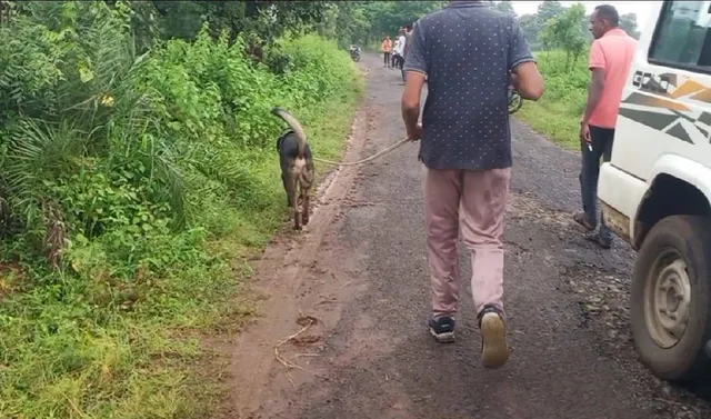 ଶଙ୍କରପଲା ଗ୍ରାମରେ ସିରିଜ ହତ୍ୟାକାଣ୍ଡ ଘଟଣା:ଡଗ୍ ସ୍କ୍ବାଡ୍‌ ତଦନ୍ତ ପରେ ପୁଲିସ୍‌ର ଛାନ୍‌ଭିନ୍‌, ୩ ଅଟକ