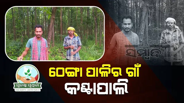 ଘରକୁ ଠେଙ୍ଗା ପହଞ୍ଚିଲେ ଜଙ୍ଗଲ ଜଗିବା ପାଳି ପଡ଼େ