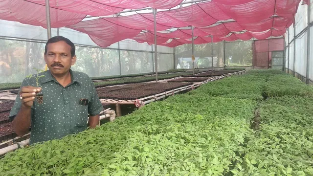 ସାଧାରଣ କୃଷକରୁ କୃଷି ଉଦ୍ୟୋଗୀ ଦିବାକର: ବିନା ମାଟିରେ ଚାରା ଉତ୍ପାଦନ କରି ଚର୍ଚ୍ଚାରେ