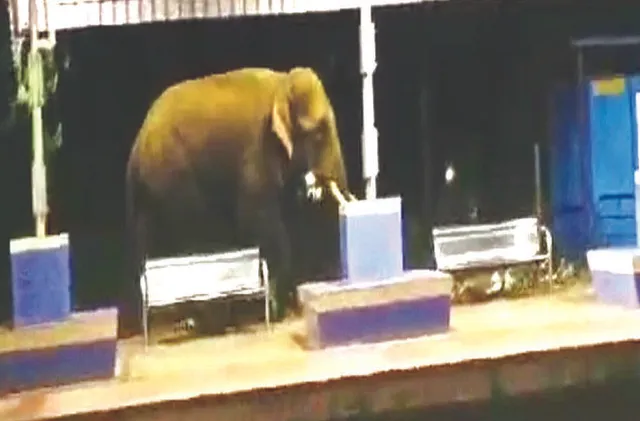 ଷ୍ଟେସନରେ ଦନ୍ତା, ଭୟରେ ଦୌଡ଼ିଲେ ଯାତ୍ରୀ