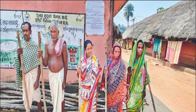 ଠେଙ୍ଗା-ଟାଙ୍ଗିଆ ଧରି ଜଙ୍ଗଲ ଜଗିଛନ୍ତି: ଔଷଧୀୟ ବୃକ୍ଷର ହେଉଛି ଅଭିବୃଦ୍ଧି, ଅସଂଖ୍ୟ ମୟୂର ପାଉଛନ୍ତି ସୁରକ୍ଷା