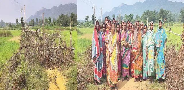 ଢିପିସାହି ଗ୍ରାମକୁ ରାସ୍ତା ନିର୍ମାଣ ନହେବା ଘଟଣା: ଗାଁ ରାସ୍ତାରେ ପଡ଼ିଛି କଣ୍ଟାବାଡ଼