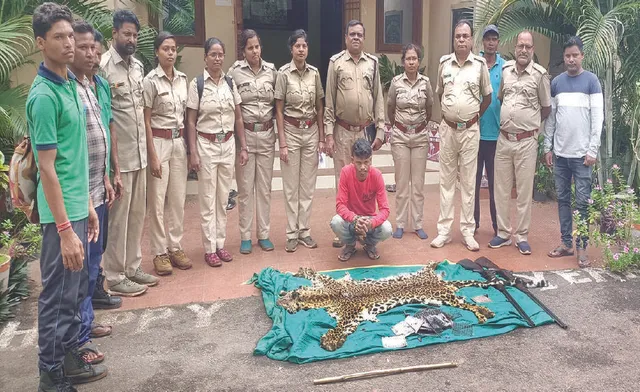 କଲରାପତରିଆ ଛାଲ ଜବତ: ଜଣେ ଶିକାରୀ ଗିରଫ, ଅନ୍ୟ ଜଣେ ଫେରାର