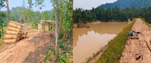 ଖୋଲୁଛି ମୃତ୍ତିକା ସଂରକ୍ଷଣ, ଜଳ ବିଭାଜିକାର ଗୁମର: ବାଉଁଶ କଟାଯାଇଥିବା ଖବର ପ୍ରକାଶନ ପରେ ଜରିମାନା