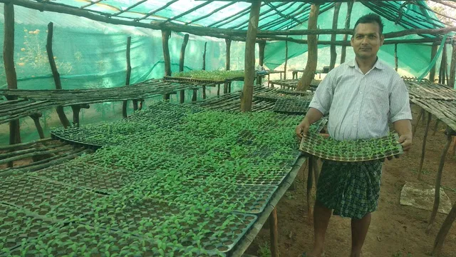 ମିଶ୍ରିତ କୃଷିରୁ ଲକ୍ଷାଧିକ ଆୟ