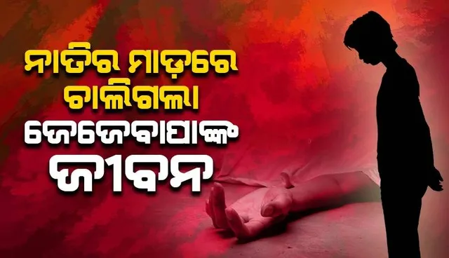 ନାତିର ମାଡ଼ରେ ଜେଜେବାପାଙ୍କ ମୃତ୍ୟୁ