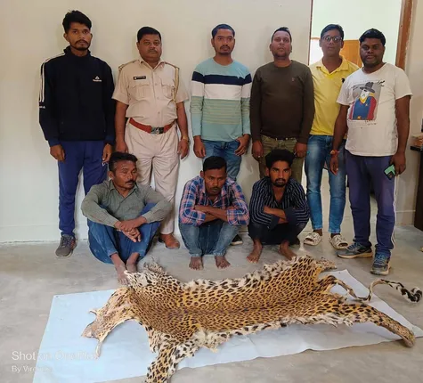 କଲରାପତରିଆ ବାଘ ଛାଲ ବିକ୍ରୟ କରୁଥିବାବେଳେ ୩ ଗିରଫ