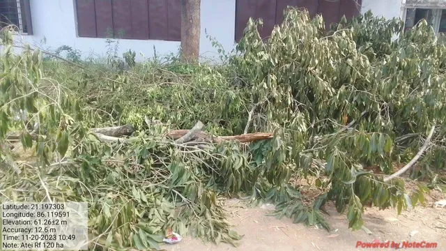 ବାହାରେ ତାଲା, ଭିତରେ ଗଛକଟା: ଆନନ୍ଦପୁର ଆଇଟିଆଇକୁ ନୋଟିସ