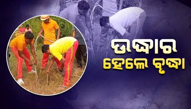 ବୋରୱେଲରେ ଖସି ପଡ଼ିଥିବା ବୃଦ୍ଧା ଉଦ୍ଧାର