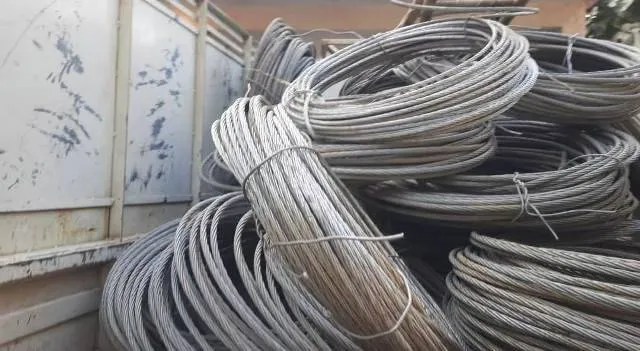 ବିଦ୍ୟୁତ୍ ତାର ଚୋରି ବେଳେ ୬ ଦୁର୍ବୃତ୍ତଙ୍କୁ ମାଡ଼ି ବସିଲେ ବିଦ୍ୟୁତ୍ କର୍ମଚାରୀ