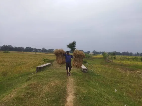 ଆକାଶରେ ମେଘ ଦେଖି ଚାଷୀ ତରତର