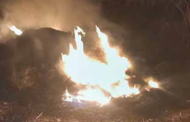 ମହିଳା ଓ ନାବାଳକଙ୍କୁ ପାଳଗଦାରେ ପୋଡ଼ିଦେଲେ: ଅନ୍ୟତ୍ର ହତ୍ୟାକରି କାର୍‌ରେ ଆଣିଥିବା ସନ୍ଦେହ